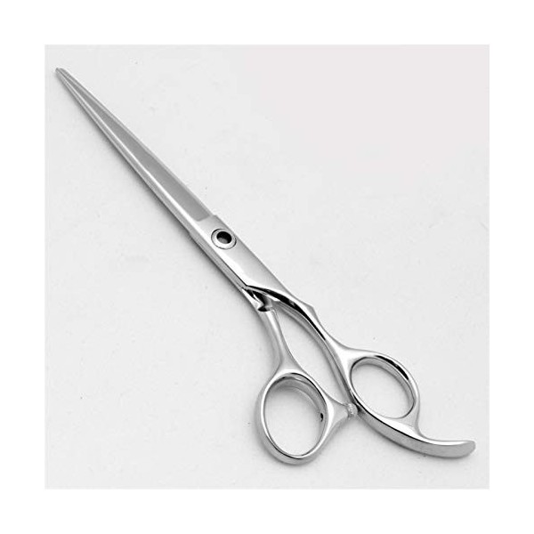 CLSMYLFB Ciseaux de coiffeur professionnels de 16,5/17,8 cm Argenté