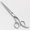 CLSMYLFB Ciseaux de coiffeur professionnels de 16,5/17,8 cm Argenté