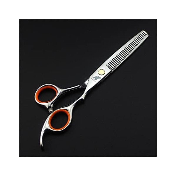 CADENABEAR Ciseaux de Coiffure Ciseaux de Coiffure en Argent de 6,0 Pouces Ciseaux de Coiffure Pointu Cisaillement pour la Co