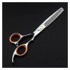 CADENABEAR Ciseaux de Coiffure Ciseaux de Coiffure en Argent de 6,0 Pouces Ciseaux de Coiffure Pointu Cisaillement pour la Co