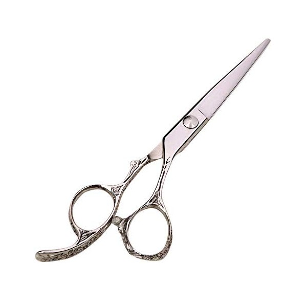 GaoF Ciseaux de Coiffure Professionnels Haut de Gamme de 6 Pouces, Outils de Coiffure, résistants à la Corrosion Argent 