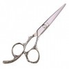 GaoF Ciseaux de Coiffure Professionnels Haut de Gamme de 6 Pouces, Outils de Coiffure, résistants à la Corrosion Argent 