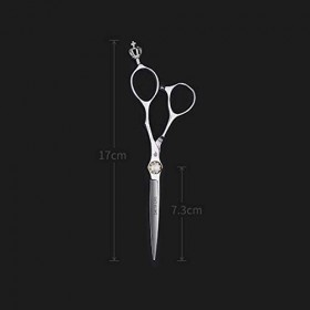 Ciseaux de coiffure professionnels de haute qualité, avec écrou de tension réglable Ciseaux de coiffure professionnels pour b