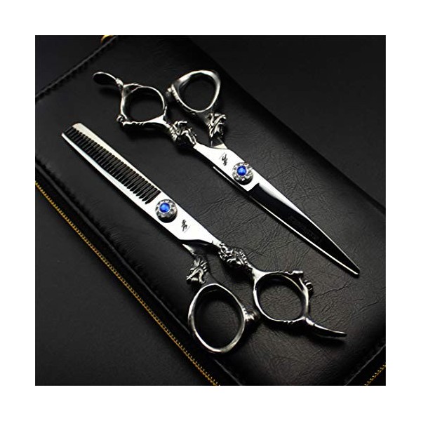 6,0 Pouces Ciseaux de Coiffure Professionnel + Diluant Dents de Coupe de Cheveux Ciseaux 440C Set Haut de Gamme Barber Salon 