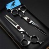 Professional 6.0 Pouces Crâne Noir Ciseaux de Coiffure+Diluant Dents Coupe de Cheveux Set Ciseaux de Haute qualité Salon de C