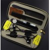 Professional 5.5,6.0 Pouces Ciseaux Noir coiffure + Diluant dents coupe de cheveux ciseaux Set haute qualité salon de coiffur