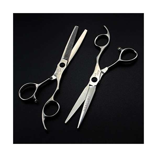 Professionnel 5.5,6.0 Pouces Mat Ciseaux de Coiffure & Thinner Dents Coupe de Cheveux Set Ciseaux de Haute qualité Salon de C