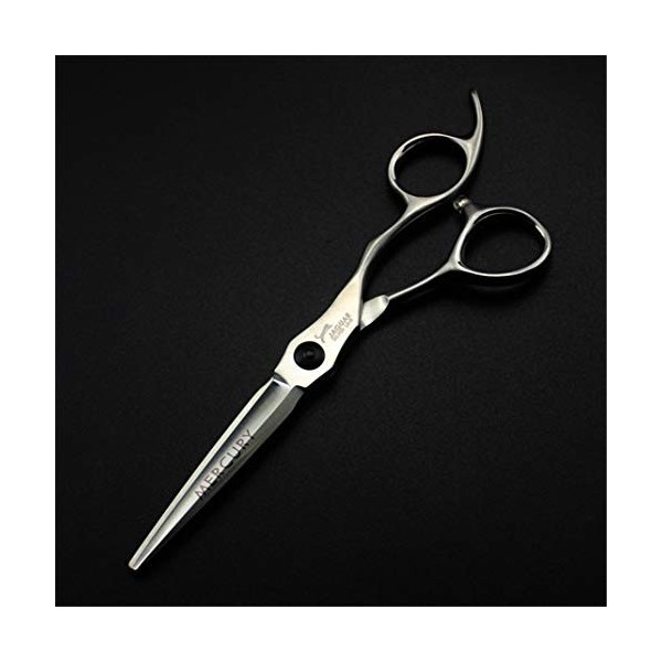 Professionnel 5.5,6.0 Pouces Mat Ciseaux de Coiffure & Thinner Dents Coupe de Cheveux Set Ciseaux de Haute qualité Salon de C