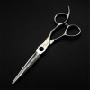 Professionnel 5.5,6.0 Pouces Mat Ciseaux de Coiffure & Thinner Dents Coupe de Cheveux Set Ciseaux de Haute qualité Salon de C