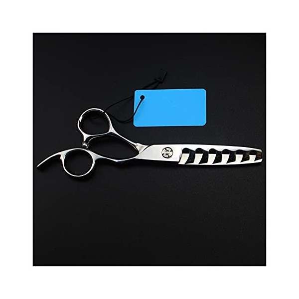 Ciseaux pour coupe de cheveux, ciseaux à 6 dents de 6 pouces, ciseaux de coiffeur, coupe de cheveux de maquillage, coiffeur é