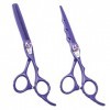 Violet Professional Hair Stylist 6.0 pouces haut de gamme Ciseaux de coiffure Whirlwind Set Barber Scissor Texture Dilution C