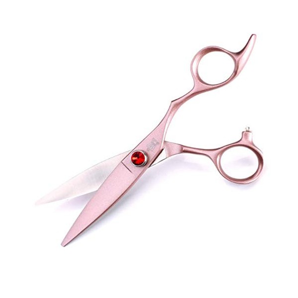 GaoF Étui pour cisailles Professionnelles Willow Shears de 6 Pouces - Cisailles à Pantoufles et cisailles Plates, résistantes