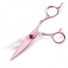 GaoF Étui pour cisailles Professionnelles Willow Shears de 6 Pouces - Cisailles à Pantoufles et cisailles Plates, résistantes