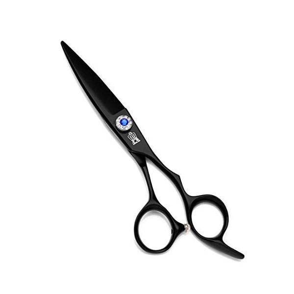 GaoF Étui pour cisailles Professionnelles Willow Shears de 6 Pouces - Cisailles à Couteaux et cisailles Plates, résistantes à