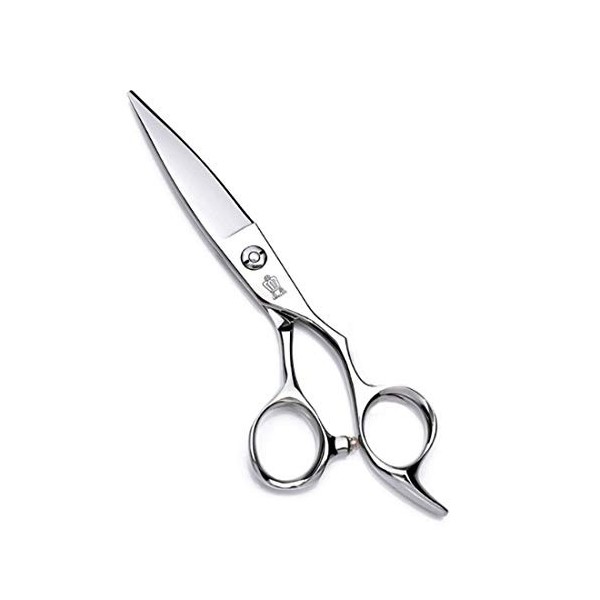 GaoF Étui pour cisailles Professionnelles Willow Shears de 6 Pouces - Cisailles à Couteaux et cisailles Plates, résistantes à