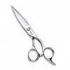 GaoF Étui pour cisailles Professionnelles Willow Shears de 6 Pouces - Cisailles à Couteaux et cisailles Plates, résistantes à