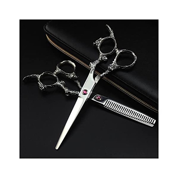 NC Outils de Coiffure Professionnels, Ciseaux de Coiffure en Argent, Ciseaux de Coiffure Professionnels avec Outils de Coiffe