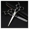 NC Outils de Coiffure Professionnels, Ciseaux de Coiffure en Argent, Ciseaux de Coiffure Professionnels avec Outils de Coiffe