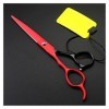 Cisailles de Coupe des Cheveux Ciseaux de Coiffure de 6 Pouces de 6 Pouces, Ciseaux damincissement, Outils de Coiffure, Cise