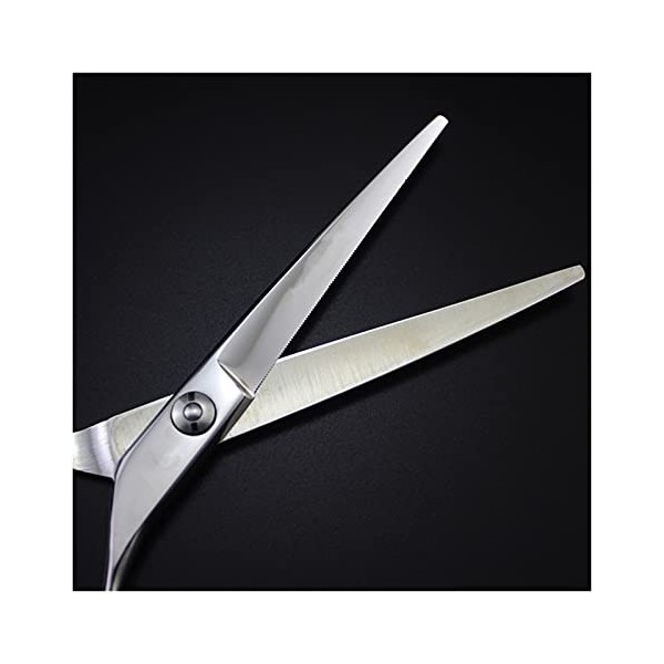 Ciseaux de coupe de cheveux de coiffure professionnelle pour la coiffure, coiffure amincissanteciseaux de coupe de cheveux, r