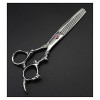 Ciseaux pour coupe de cheveux, outils de coiffure professionnels, ciseaux de coiffure argentés, ciseaux de coiffure, ciseaux 