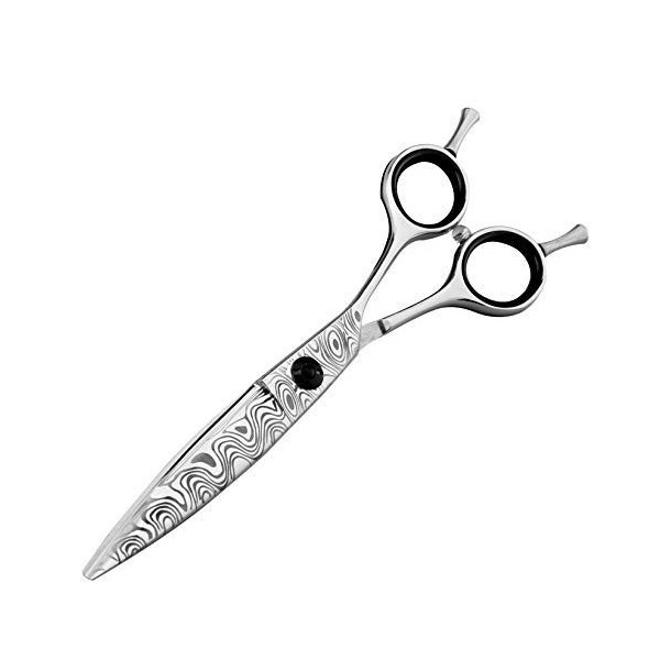 NC Ciseaux de Coiffeur Professionnels pour la Coupe de Cheveux Ciseaux de Coiffeur pour coiffeurs - 1 Ciseaux à Cheveux à Bor