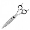 NC Ciseaux de Coiffeur Professionnels pour la Coupe de Cheveux Ciseaux de Coiffeur pour coiffeurs - 1 Ciseaux à Cheveux à Bor