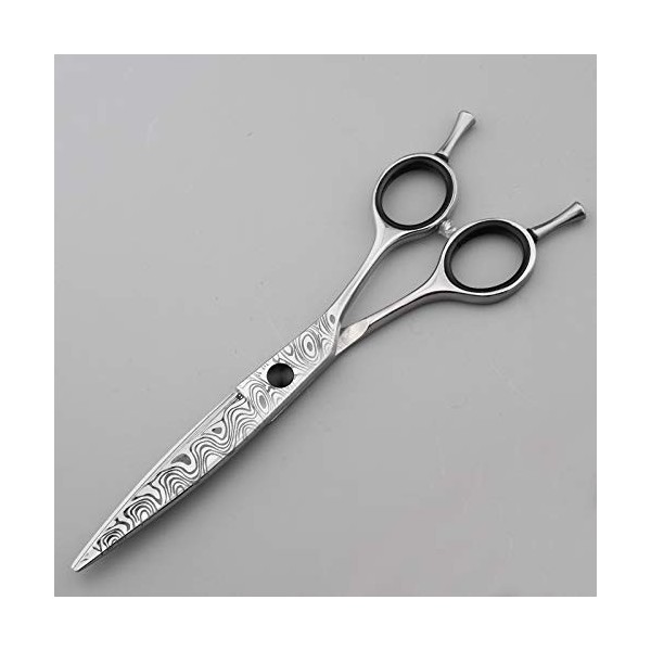 NC Ciseaux de Coiffeur Professionnels pour la Coupe de Cheveux Ciseaux de Coiffeur pour coiffeurs - 1 Ciseaux à Cheveux à Bor