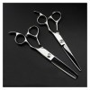 Cisailles de Coupe des Cheveux Ciseaux de 6 Pouces de Coiffure, Ciseaux en Argent, Ciseaux de Coiffure, Ciseaux damincisseme