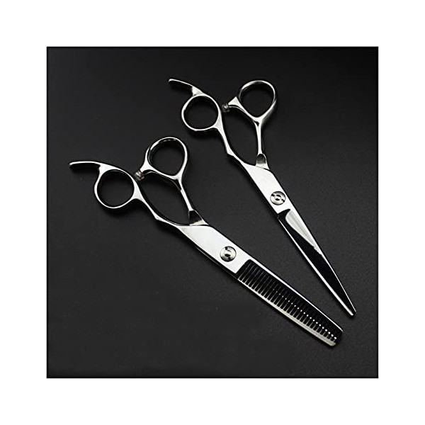 Cisailles de Coupe des Cheveux Ciseaux de 6 Pouces de Coiffure, Ciseaux en Argent, Ciseaux de Coiffure, Ciseaux damincisseme