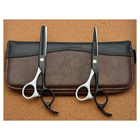 Cisailles de Coupe des Cheveux 2 Morceaux de 5,5 Pouces de Ciseaux de Coiffure de 16 cm, Ciseaux de Coiffure spéciaux, Ciseau