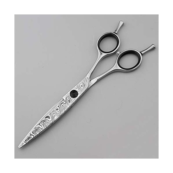 Xiaozhoukeji Ciseaux de Coiffeur Professionnels Ciseaux de Coupe de Cheveux de Coiffeur - 6.0"- 1 Ciseaux de Cheveux à Bord D