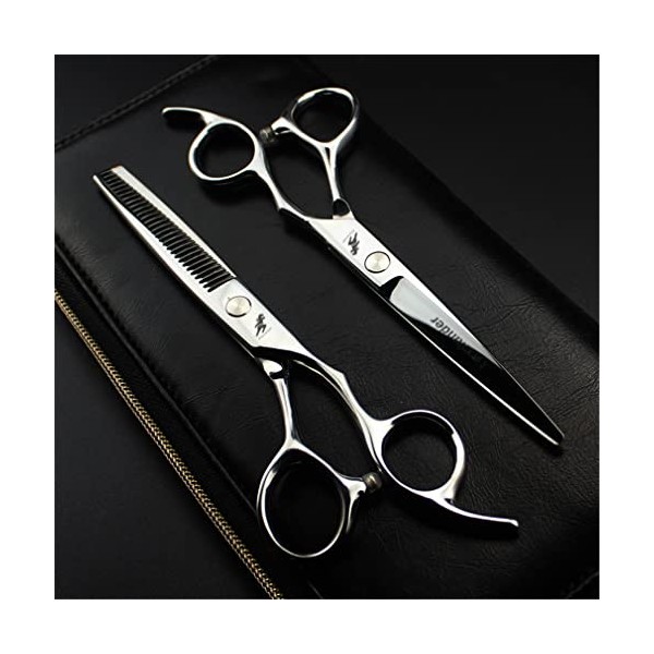 Kit De Cisaillement De Coiffure En Argent De 5,5 / 6,0 Pouces, Ensembles De Ciseaux De Coiffure De Processus De Coiffeur Prof