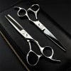 Kit De Cisaillement De Coiffure En Argent De 5,5 / 6,0 Pouces, Ensembles De Ciseaux De Coiffure De Processus De Coiffeur Prof