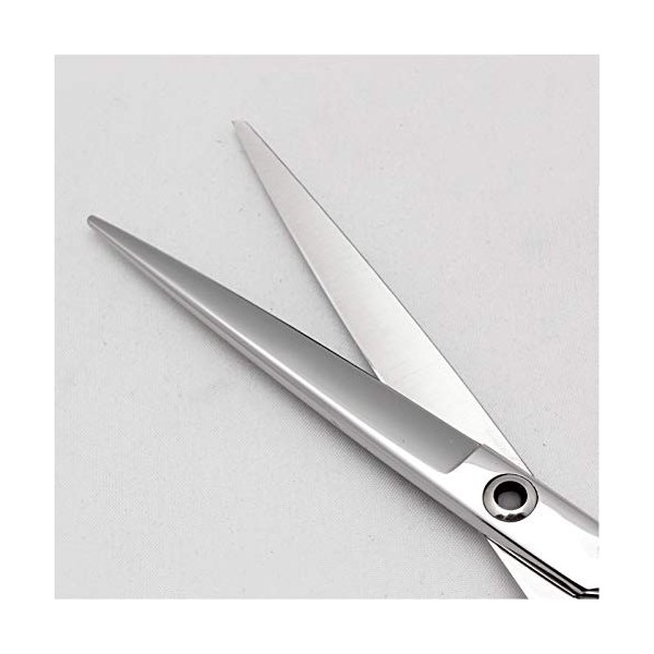 CLSMYLFB Ciseaux de coiffeur professionnels de 16,5/17,8 cm Argenté