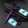 SXFZQ Couper Les Cheveux Ciseaux Set Purple - 6.0" Ciseaux de Coiffure Ciseaux Dilution Toilettage Styling Kit en Acier Inoxy