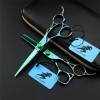 6.0" Coupe de Cheveux Ciseaux Vert Set - Ciseaux Coiffure Dents à effiler Ciseaux Toilettage Styling Kit Creux Poignée - Prof