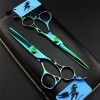 6.0" Coupe de Cheveux Ciseaux Vert Set - Ciseaux Coiffure Dents à effiler Ciseaux Toilettage Styling Kit Creux Poignée - Prof