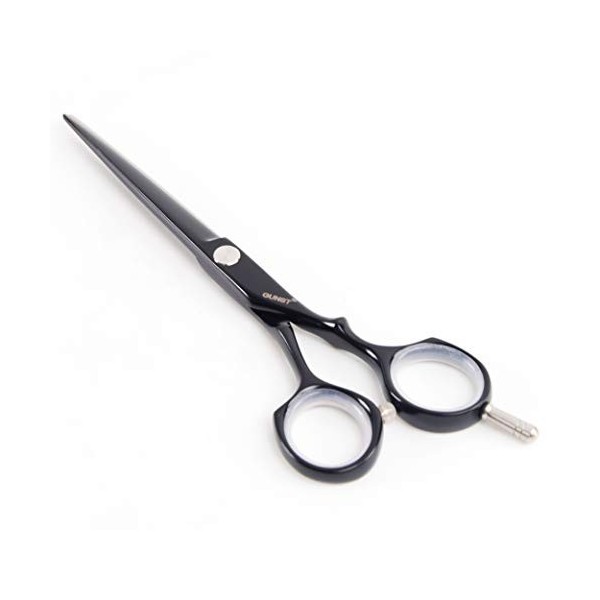 Ciseaux De Coiffeur Professionnel, Noir, 5,5 Pouces