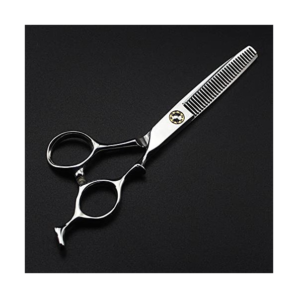 ciseaux de coiffeur Ciseaux de coupe de cheveux, 6 pouces japon 6cr13 acier roulement coupe ciseaux de salon de coiffure coup