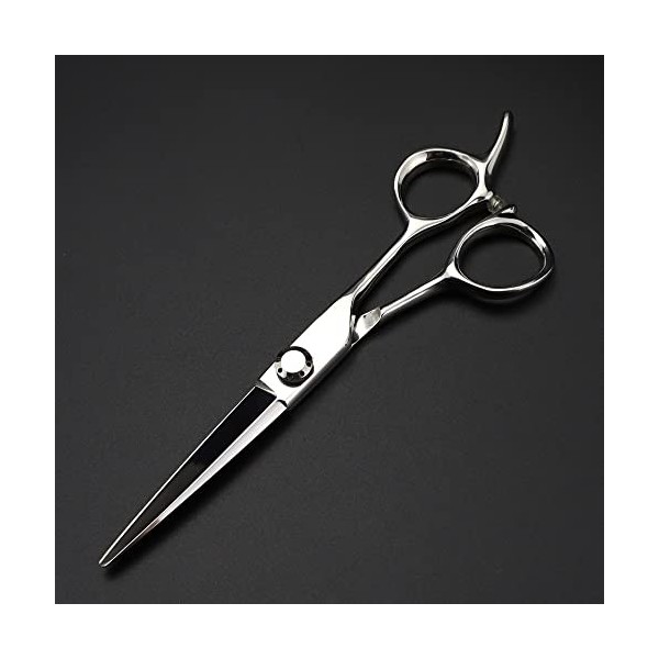 ciseaux de coiffeur Ciseaux De Coupe De Cheveux, 6 Pouces Professionnel Japon 440c Ciseaux En Acier Ciseaux De Cheveux Argent