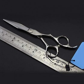 Ciseaux de coiffure, ciseaux de coiffure, Kit de barbier, ciseaux de coupe de cheveux professionnels, ciseaux à cheveux chaud