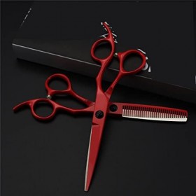 KOAIEZ Ciseaux De Cisaillement De Coiffure De Coiffure en Acier Inoxydable De 6,0 Pouces, De Ciseaux De Coupe De Cheveux À Sa