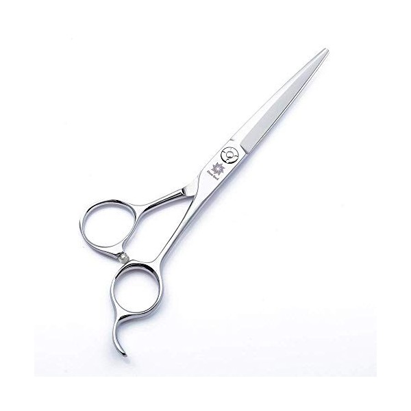Barber Hair Cutting Scissors Shears 6.0 / 5.0 Professional Hairdressing Salon Razor Edge Hair Cisors Japanese 440C Stai