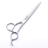 Barber Hair Cutting Scissors Shears 6.0 / 5.0 Professional Hairdressing Salon Razor Edge Hair Cisors Japanese 440C Stai