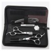 Ensemble doutils de coiffure en argent de 6,0 pouces, ciseaux de coupe de cheveux, ciseaux de coupe de cheveux de coiffeur, 