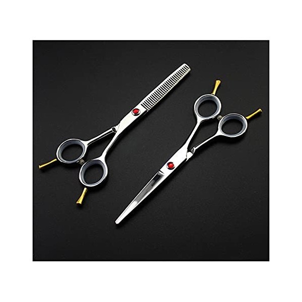 Ciseaux de coiffure professionnels de 5,5 po, ciseaux de coiffure, fournitures de coiffeur, ciseaux de coiffure ménagers, cis