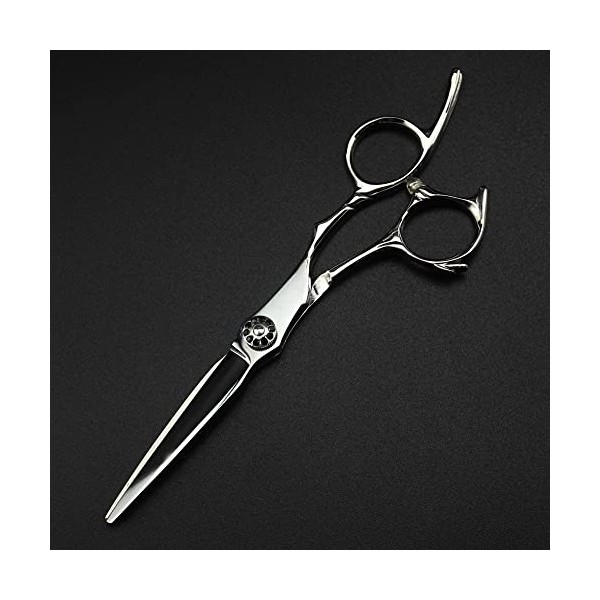 ciseaux de coiffeur Ciseaux de coupe de cheveux, 6 pouces Professional Japan 440c Upscal ciseaux gemme noire ciseaux à cheveu