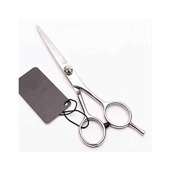 5.5 pouces petits ciseaux à cheveux ciseaux de coupe de cheveux sourcils barbier maquillage ciseaux de coupe ciseaux de coiff