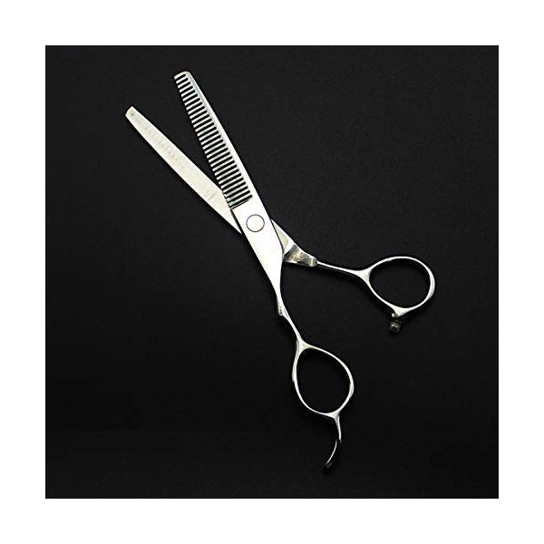 Ciseaux de Coupe de Cheveux, 5,5/6 pouces Professionnel 440c Argent Ciseaux de Coupe de Cheveux pour Gaucher Coupe de Coiffeu